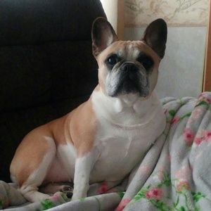 Meet your Posher, Deborah